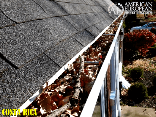 6 Signs of Roof Damage that Needs Repair