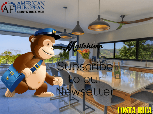 How Important is Digital Marketing Tools for Real Estate Advertising?