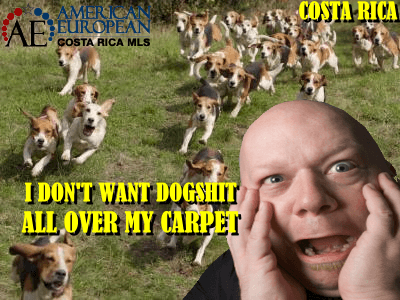 11 Things Sellers Do That Drive Realtors Absolutely Insane