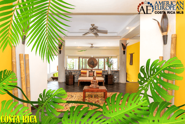 5 Interior Design Tips for a Tropical Environment