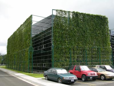 Does Green Real Estate exist in Costa Rica