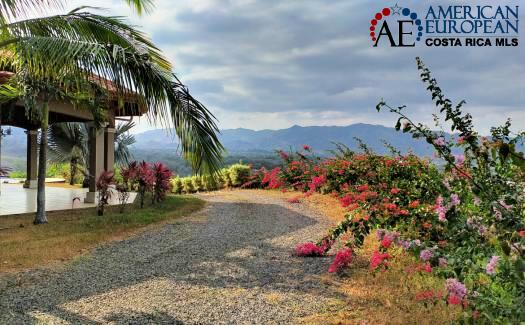 Earn additional ROI buying investment property before August 2019