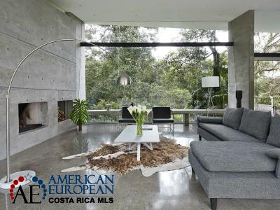 Contemporary home with a fireplace