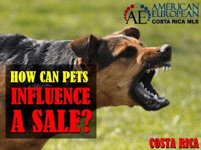 We then got surrounded by approximately 6 loud barking dogs How pets can influence the sale of properties in Costa Rica