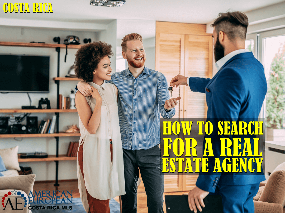The MV Realty’s Guide To Searching For A Real Estate Agency