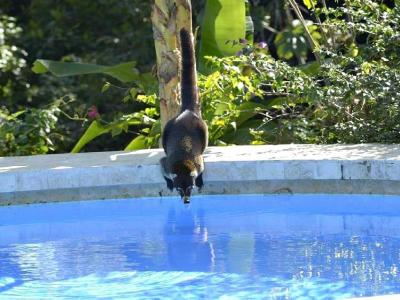 Montezuma home for sale - Nicoya Península – Listed at $439,000 Montezuma home for sale - Nicoya Península – Listed at $439,000