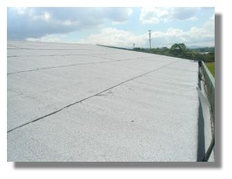 Apply a membrane directly onto the metal laminates, ridges and flashings as well as down into the gutters. The use of roofing membranes on Costa Rican homes