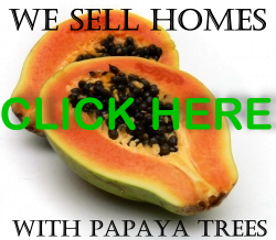 Costa Rica properties with fruit trees for sale