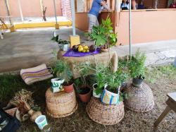 Herbs and plants from Atenas, Costa Rica