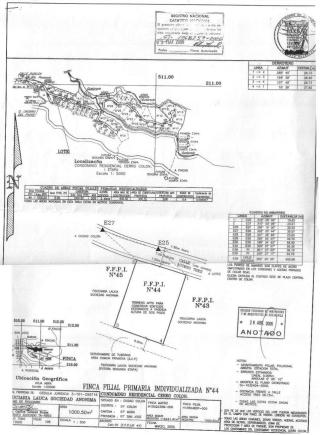 Survey sample Costa Rica real estate Role of the Real Estate Agent during the Real Estate Purchase Process