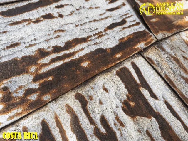 All About Roof Repairs and Maintenance in Costa Rica