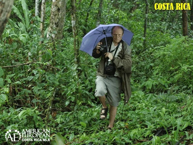 Maybe you love the rain, the forest and birdwatching? Then Escazu is not the place to buy a home. Rent Short-term Before Buying Property in Costa Rica?
